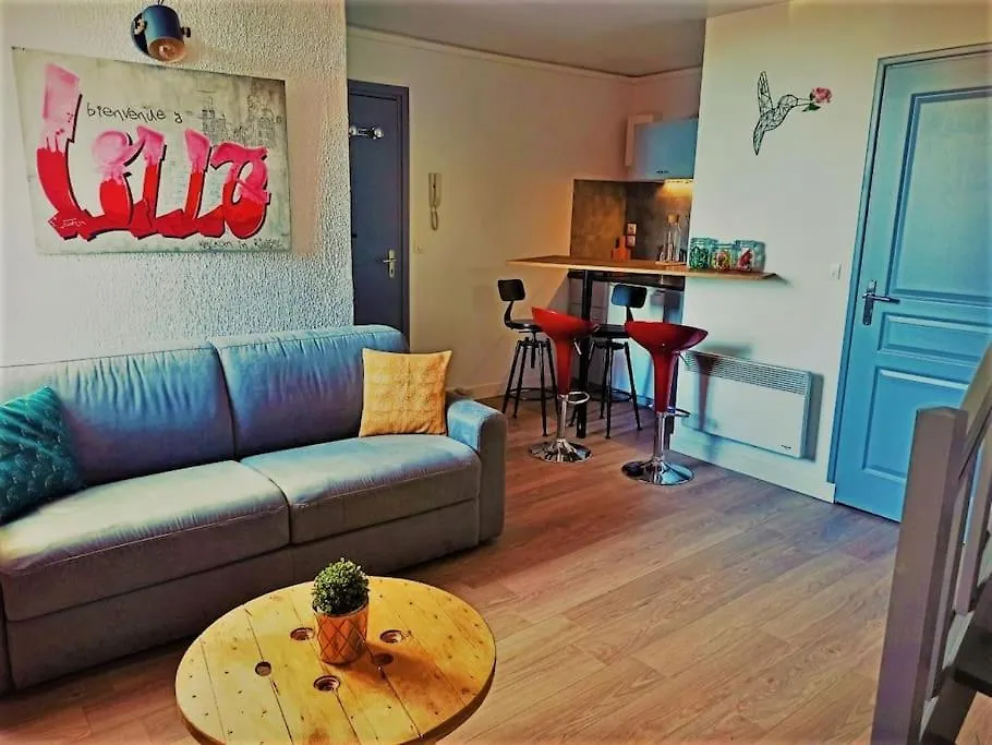Duplex Cosy Place Republique Lille Lejlighed