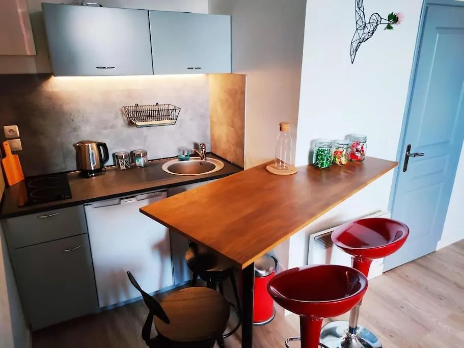 Duplex Cosy Place Republique 릴